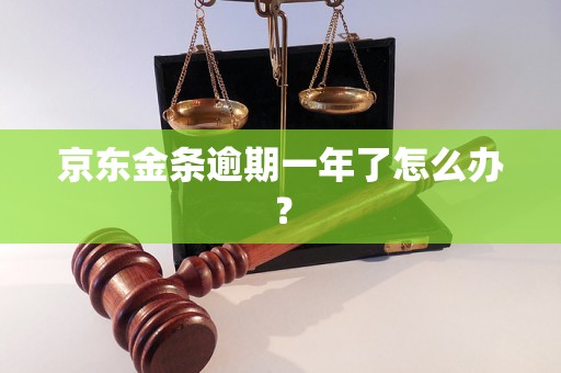 京东金条逾期一年了怎么办？