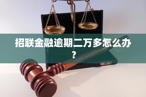 招联金融逾期二万多怎么办？