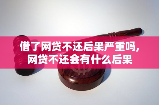 借了网贷不还后果严重吗,网贷不还会有什么后果