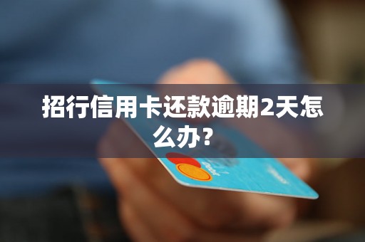 招行信用卡还款逾期2天怎么办？