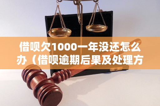 借呗欠1000一年没还怎么办（借呗逾期后果及处理方法）