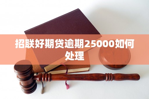 招联好期贷逾期25000如何处理