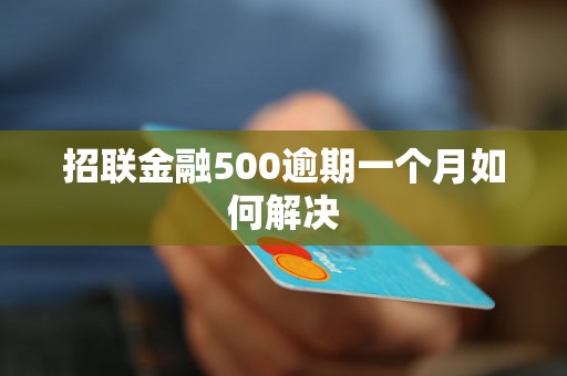 招联金融500逾期一个月如何解决