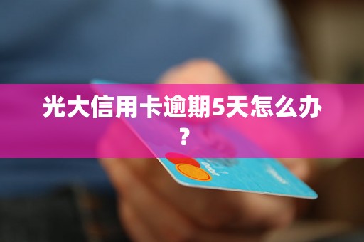 光大信用卡逾期5天怎么办？