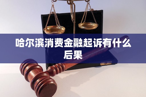 哈尔滨消费金融起诉有什么后果