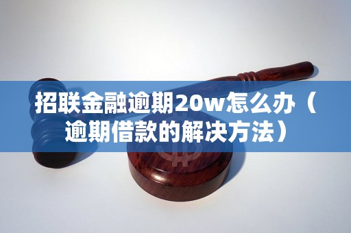 招联金融逾期20w怎么办（逾期借款的解决方法）