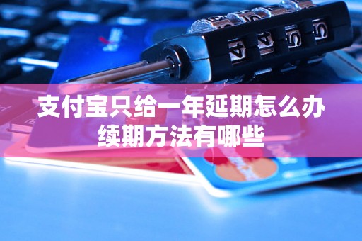 支付宝只给一年延期怎么办续期方法有哪些