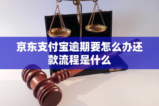 京东支付宝逾期要怎么办还款流程是什么