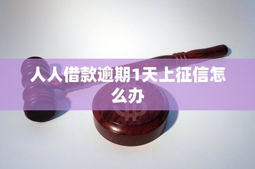 人人借款逾期1天上征信怎么办