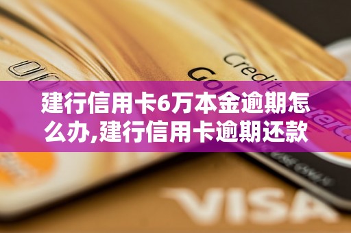 建行信用卡6万本金逾期怎么办,建行信用卡逾期还款的解决办法