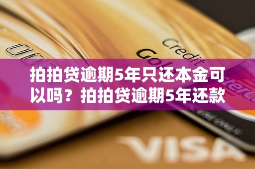 拍拍贷逾期5年只还本金可以吗？拍拍贷逾期5年还款规则详解