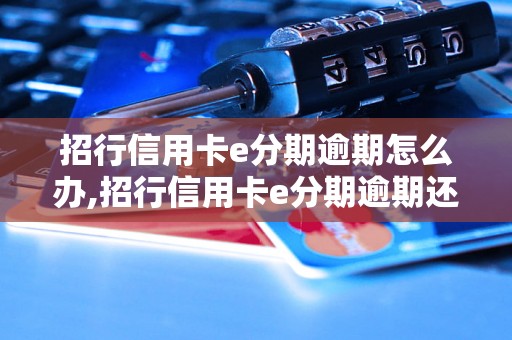 招行信用卡e分期逾期怎么办,招行信用卡e分期逾期还款方法解析