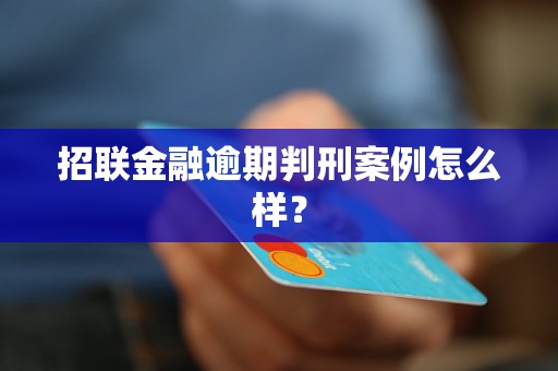 招联金融逾期判刑案例怎么样？