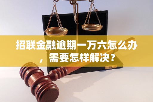 招联金融逾期一万六怎么办，需要怎样解决？