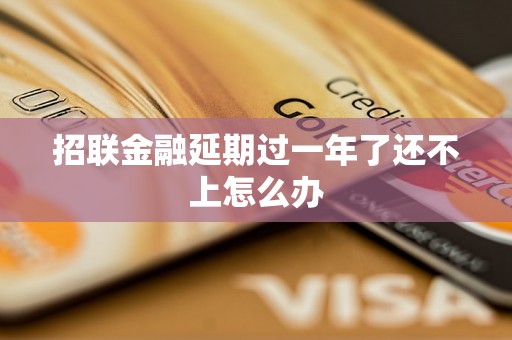 招联金融延期过一年了还不上怎么办