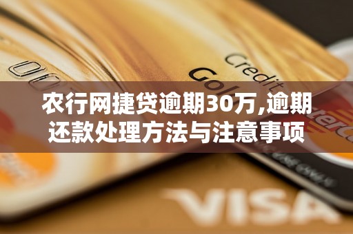 农行网捷贷逾期30万,逾期还款处理方法与注意事项