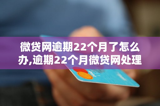 微贷网逾期22个月了怎么办,逾期22个月微贷网处理方法