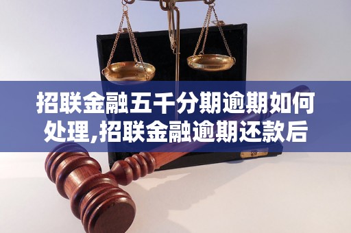 招联金融五千分期逾期如何处理,招联金融逾期还款后果