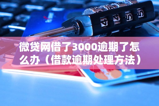 微贷网借了3000逾期了怎么办（借款逾期处理方法）