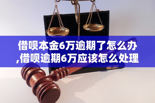 借呗本金6万逾期了怎么办,借呗逾期6万应该怎么处理