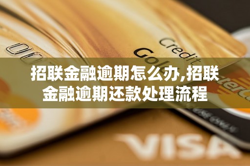 招联金融逾期怎么办,招联金融逾期还款处理流程