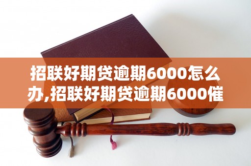 招联好期贷逾期6000怎么办,招联好期贷逾期6000催收流程