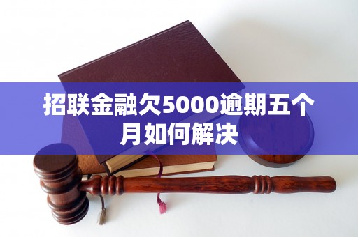 招联金融欠5000逾期五个月如何解决