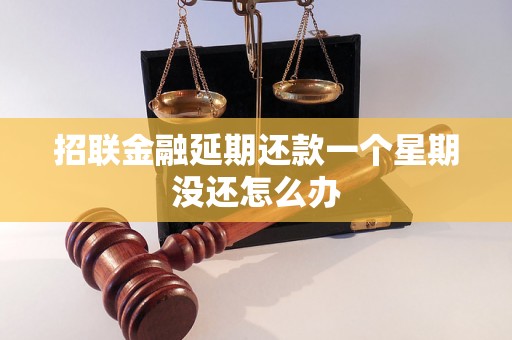 招联金融延期还款一个星期没还怎么办