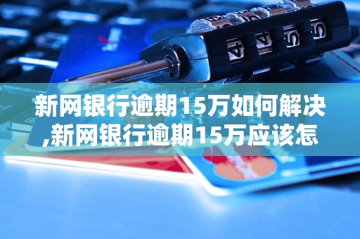 新网银行逾期15万如何解决,新网银行逾期15万应该怎么办