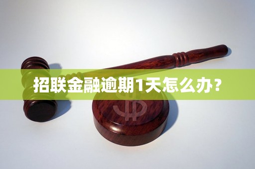 招联金融逾期1天怎么办？