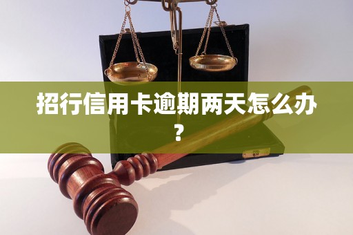 招行信用卡逾期两天怎么办？