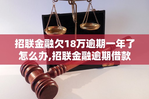 招联金融欠18万逾期一年了怎么办,招联金融逾期借款如何处理