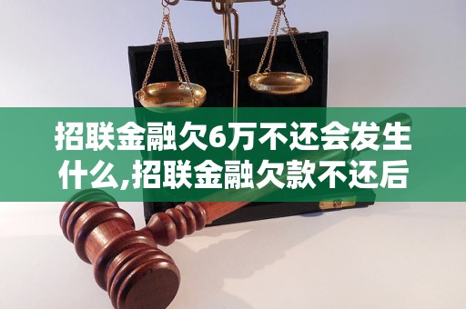 招联金融欠6万不还会发生什么,招联金融欠款不还后果严重吗