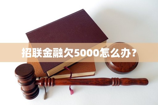 招联金融欠5000怎么办？