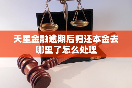 天星金融逾期后归还本金去哪里了怎么处理