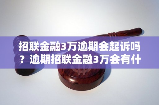 招联金融3万逾期会起诉吗？逾期招联金融3万会有什么后果？ - 副本