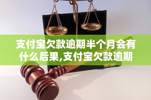 支付宝欠款逾期半个月会有什么后果,支付宝欠款逾期处理办法