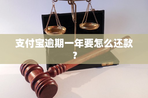 支付宝逾期一年要怎么还款？