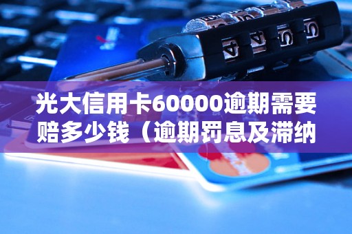 光大信用卡60000逾期需要赔多少钱（逾期罚息及滞纳金计算方法）