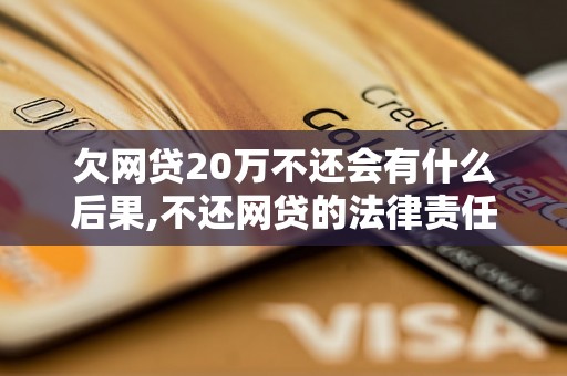 欠网贷20万不还会有什么后果,不还网贷的法律责任是什么