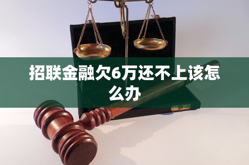 招联金融欠6万还不上该怎么办