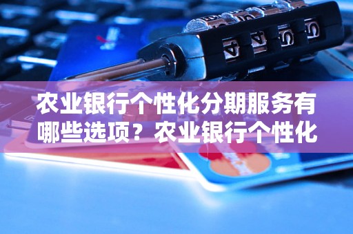 农业银行个性化分期服务有哪些选项？农业银行个性化分期详解