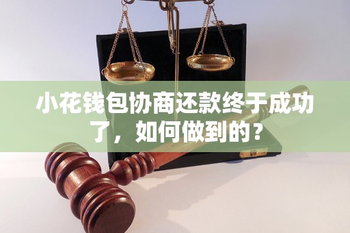 小花钱包协商还款终于成功了，如何做到的？