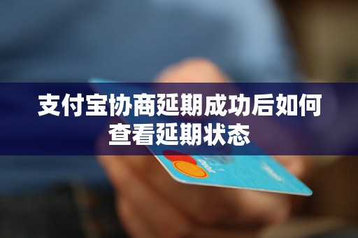 支付宝协商延期成功后如何查看延期状态