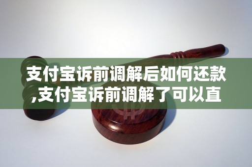 支付宝诉前调解后如何还款,支付宝诉前调解了可以直接还款吗