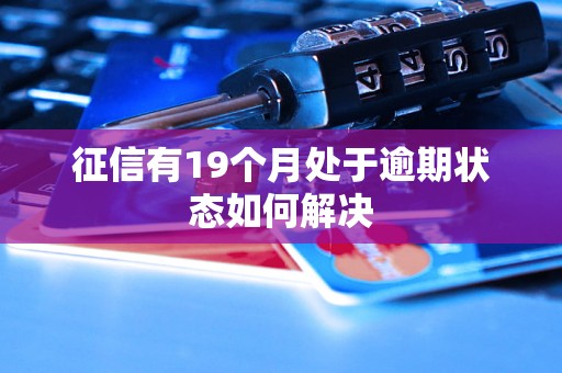 征信有19个月处于逾期状态如何解决