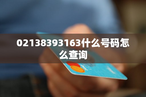 02138393163什么号码怎么查询