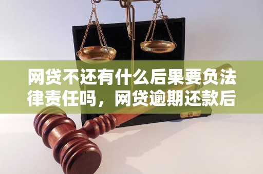 网贷不还有什么后果要负法律责任吗，网贷逾期还款后果及法律风险分析