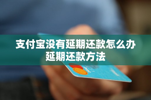 支付宝没有延期还款怎么办延期还款方法