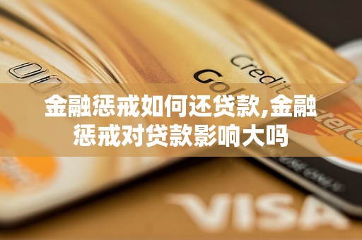 金融惩戒如何还贷款,金融惩戒对贷款影响大吗